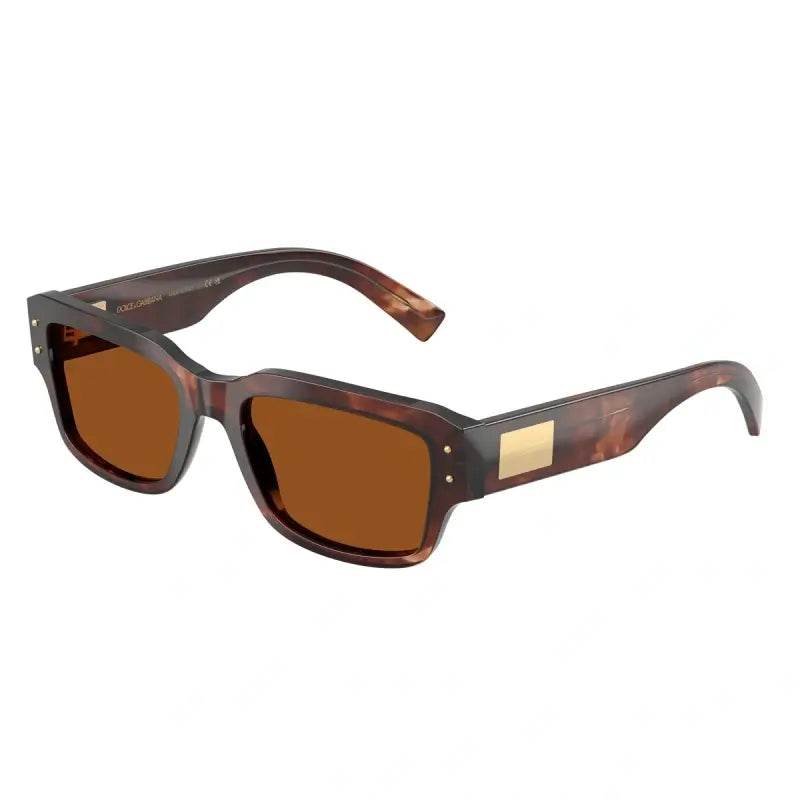 DOLCE GABBANA 0DG 4483