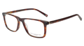 FCUK FCL5319 C2 54 FRAME