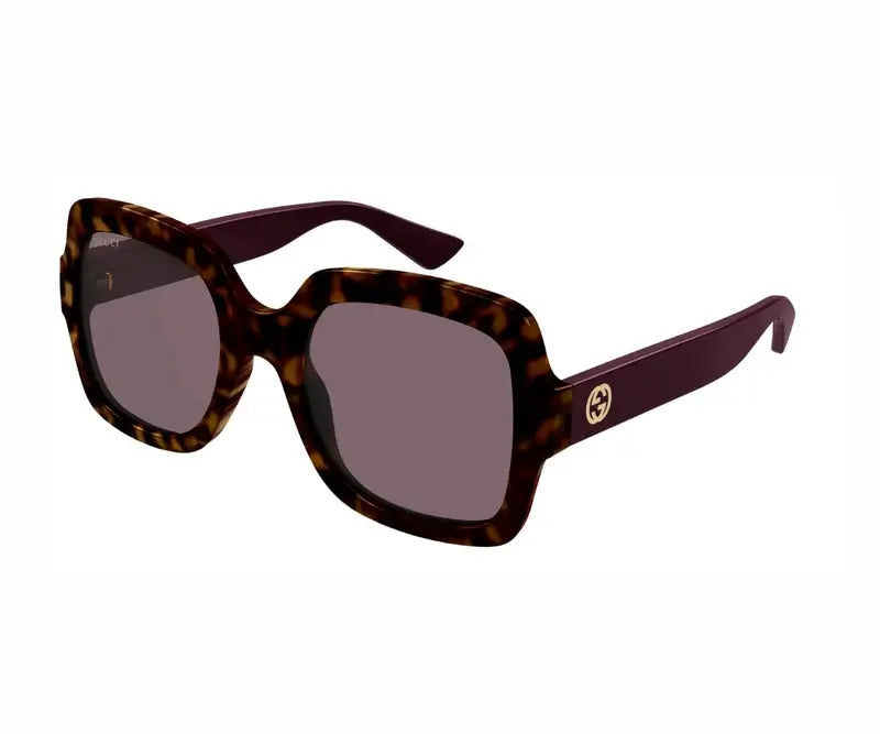 Gucci 1337S Havana & Brown 009 Size 54 , Sunglasses - Dayal Opticals 