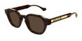 Gucci 1730S Tortoise & Brown 002 Size 50, Sunglasses - Dayal Opticals