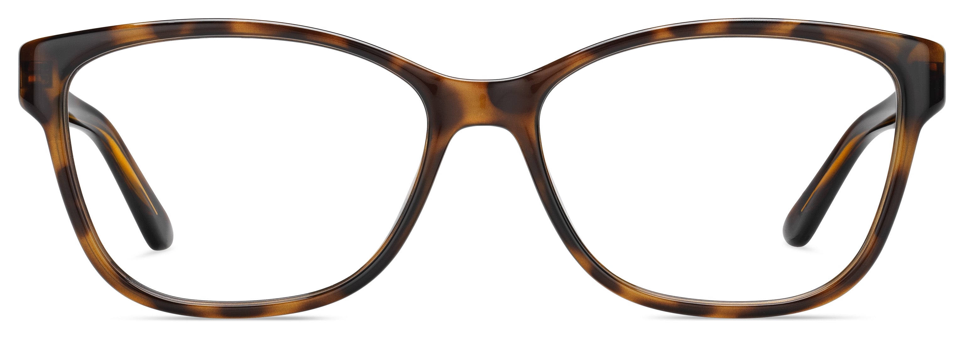 JIMMY CHOO JC  238 - Dayal Opticals   
