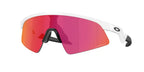 OAKLEY JUNIOR RESISTOR SWEEP  9015