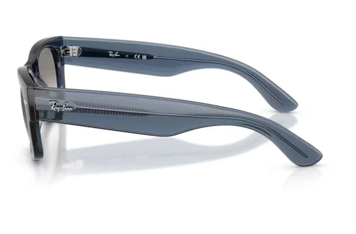 RAY BAN 0RB 0832S