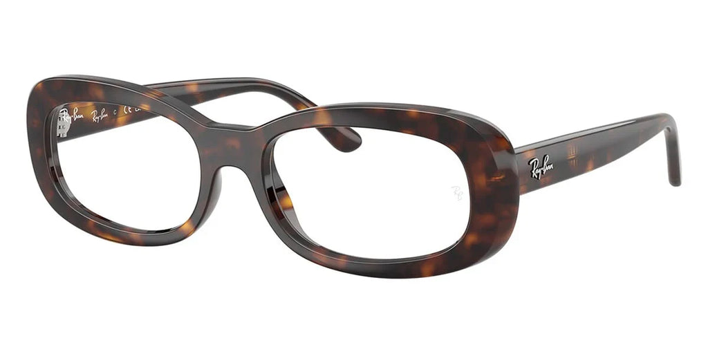 RAY BAN    0RX 2221V