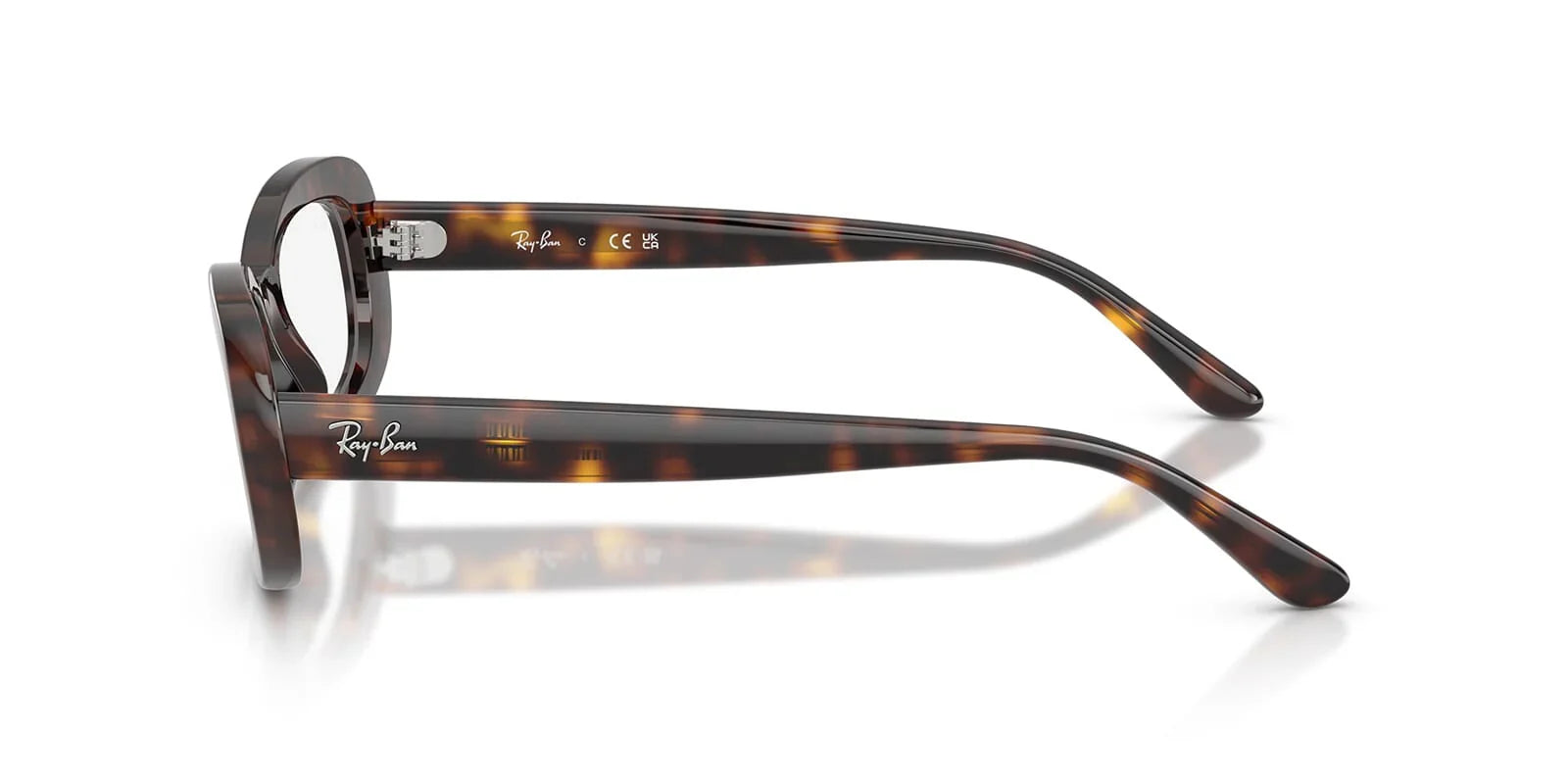 RAY BAN    0RX 2221V