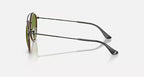 RAY BAN   3647N