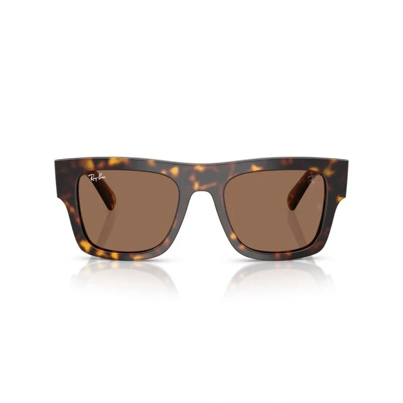 RAY BAN 0RB 2217M