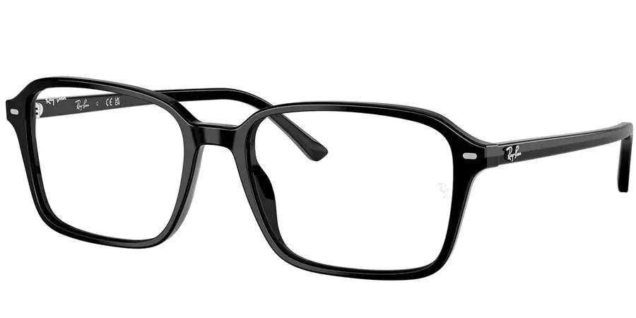 RAY BAN 0RB 2231