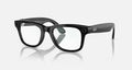Ray Ban Meta  4006 WAYFARER FULL RIM Sunglasses