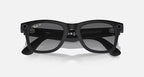 Ray Ban Meta  4006 WAYFARER FULL RIM Sunglasses