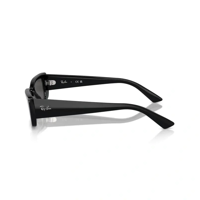 RAY BAN 0RB 4425