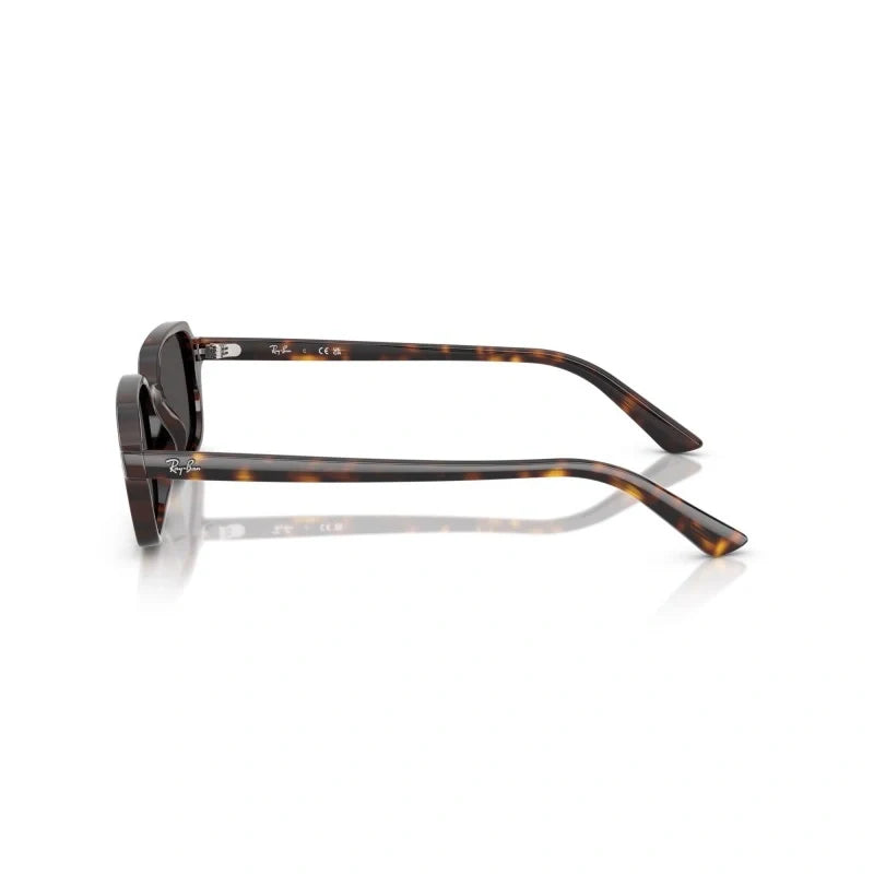 RAY BAN 0RB 4455