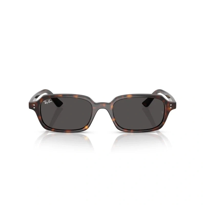 RAY BAN 0RB 4455