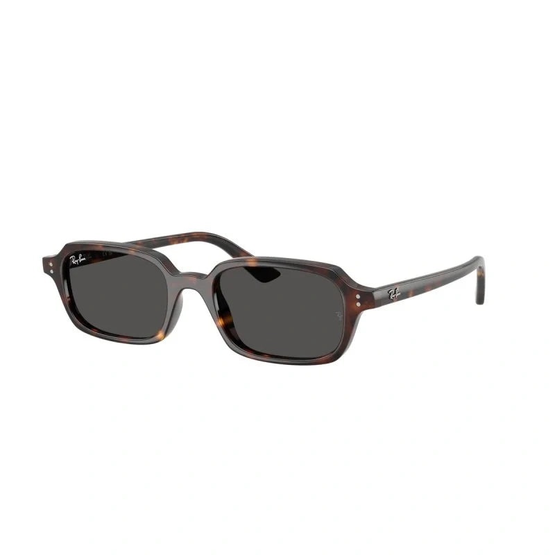 RAY BAN 0RB 4455
