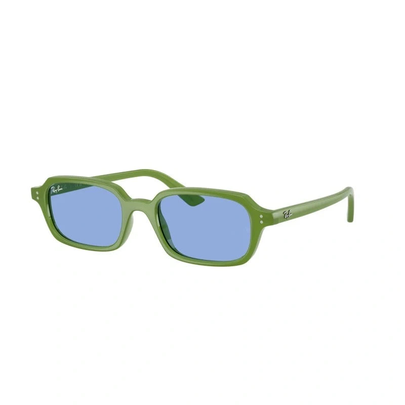 RAY BAN 0RB 4455