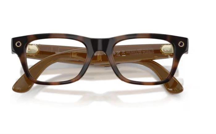 RAY BAN META 7001 BLAYZER
