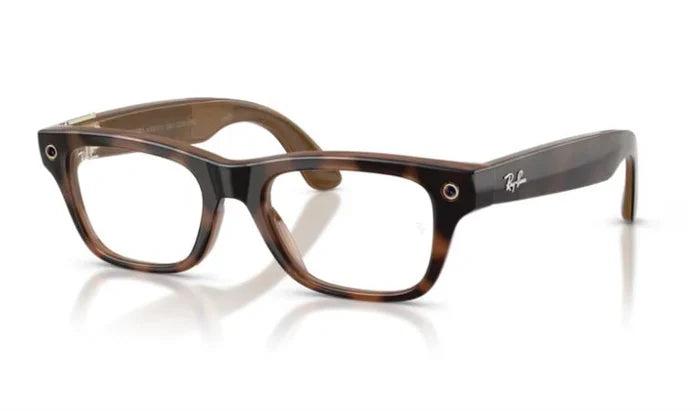 RAY BAN META 7001 BLAYZER