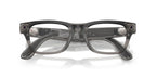 RAY BAN META 7001 BLAYZER