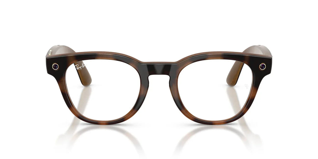 RAY BAN META 7002 SCRIBER