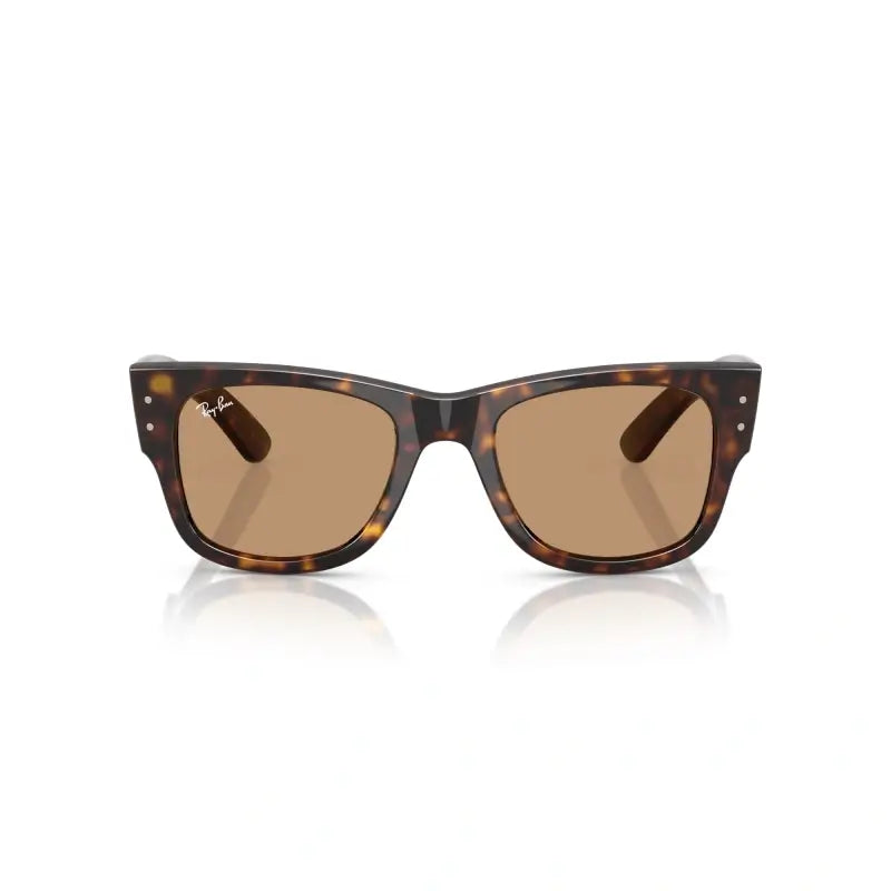 RAY BAN 0RB 0840S