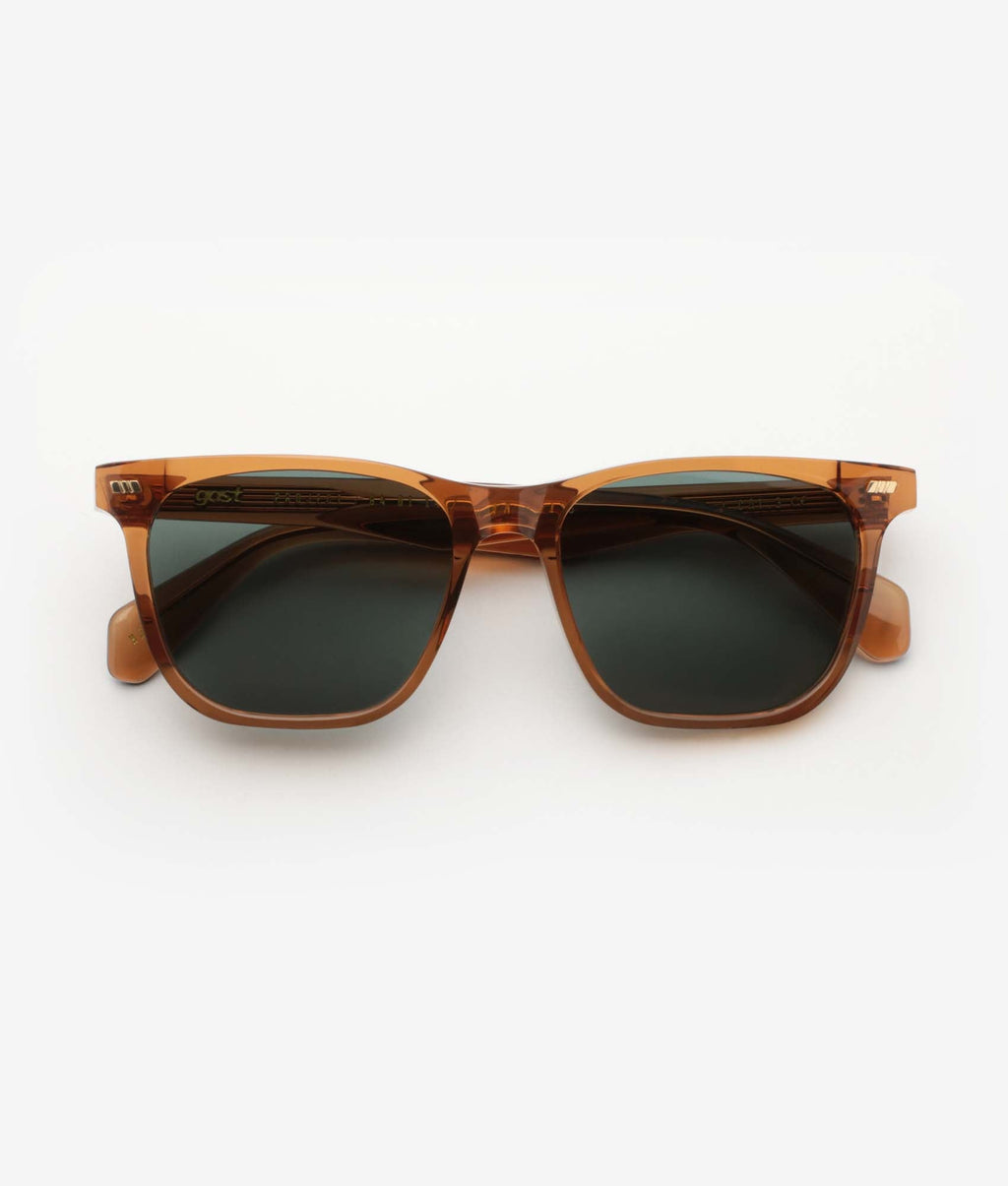Gast Tazi Caramel Tz03 Sunglasses - Dayal Opticals India