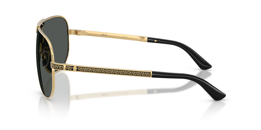 VERSACE 0VE 2293