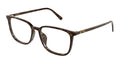 VALENTINO VG0040OA 002 54 FRAME