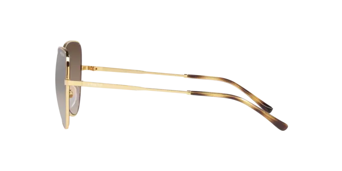 VOGUE    4255S