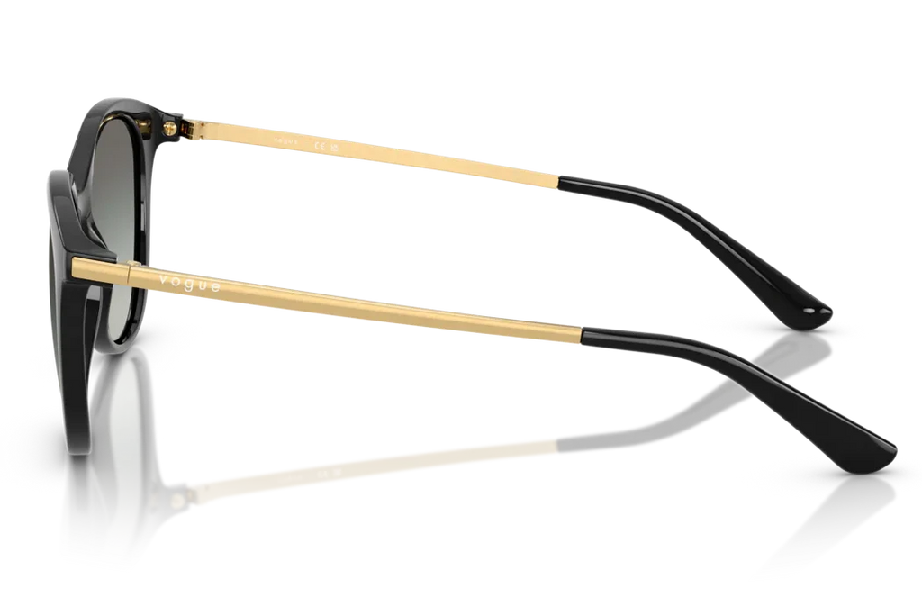 VOGUE    5647SI