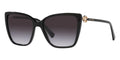 BVLGARI  8247B - Dayal Opticals   