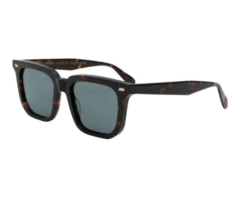 Gast Certo Havana Brown & Green Crt02 Sunglasses, Size 52 - Dayal Opticals India