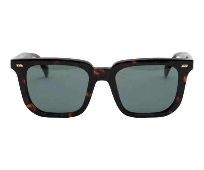 Gast Certo Havana Brown & Green Crt02 Sunglasses, Size 52 - Dayal Opticals India