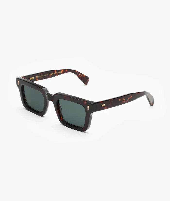 Gast Not Common Classic Havana Nc02 Sunglasses - Dayal Opticals India      