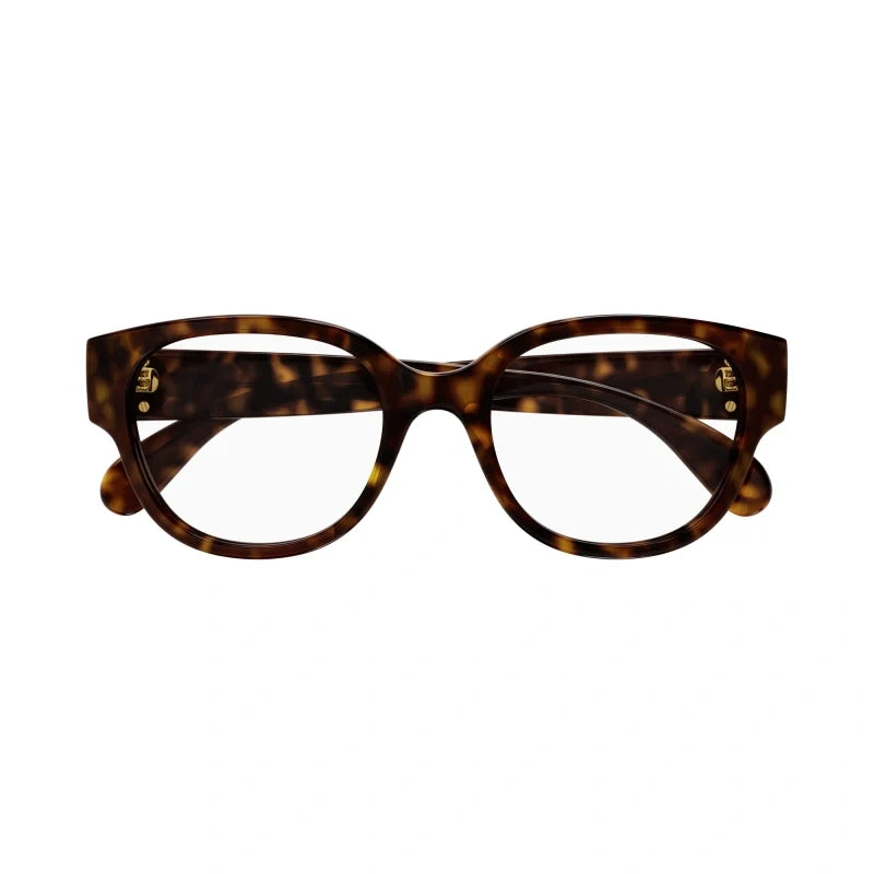 Gucci 1411O Havana 005 Size 53, Frame - Dayal Opticals
