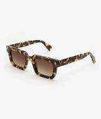 Gast Not Common Havana Nc08 Sunglasses - Dayal Opticals India     