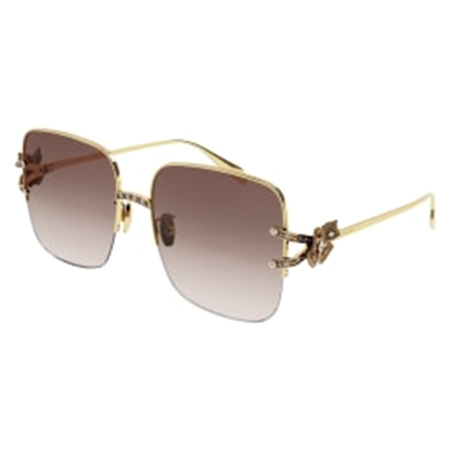 ALEXANDER MCQUEEN   0371S - Dayal Opticals   