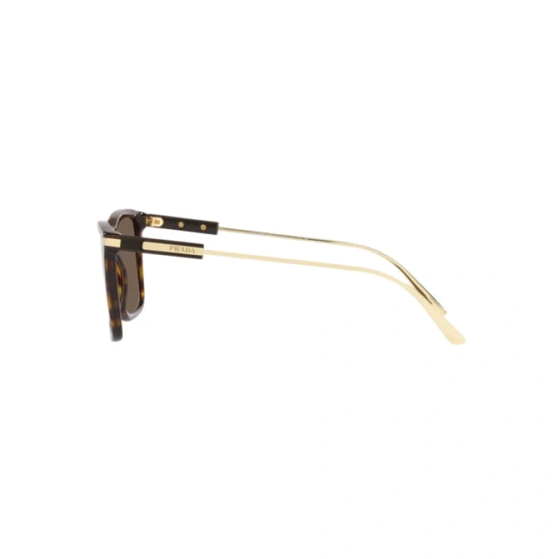 PRADA   0PR 01ZS - Dayal Opticals   