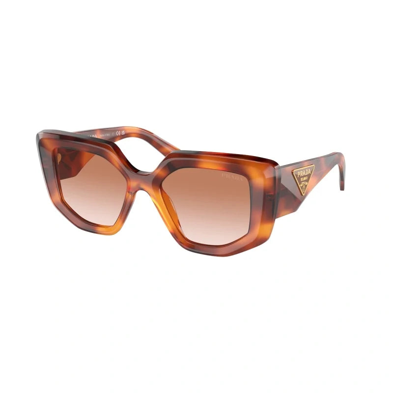 PRADA  0PR 14ZS - Dayal Opticals   