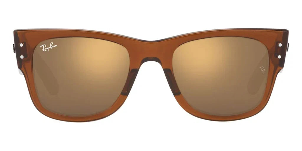 Ray Ban Eyewear & Sunglasses