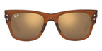 Ray Ban Eyewear & Sunglasses