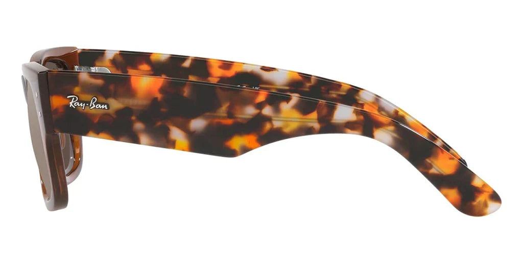 Ray Ban Eyewear & Sunglasses