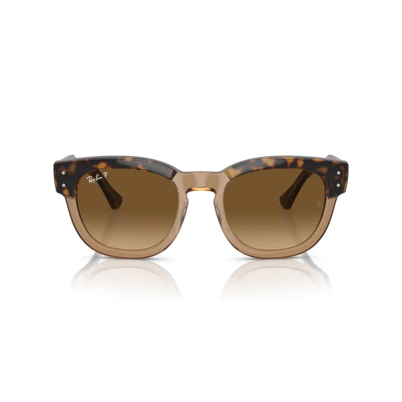 Ray Ban Eyewear & Sunglasses