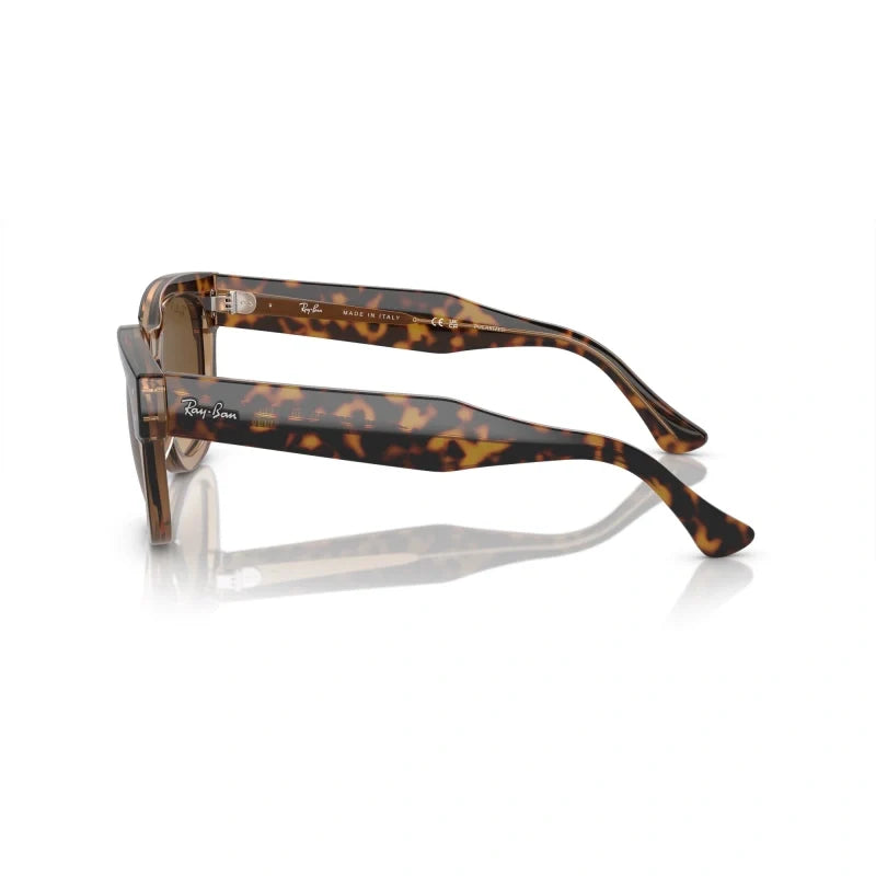 Ray Ban Eyewear & Sunglasses
