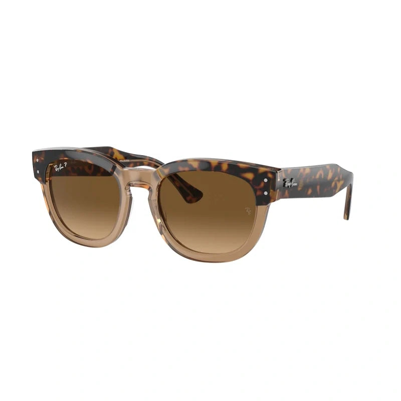 Ray Ban Eyewear & Sunglasses