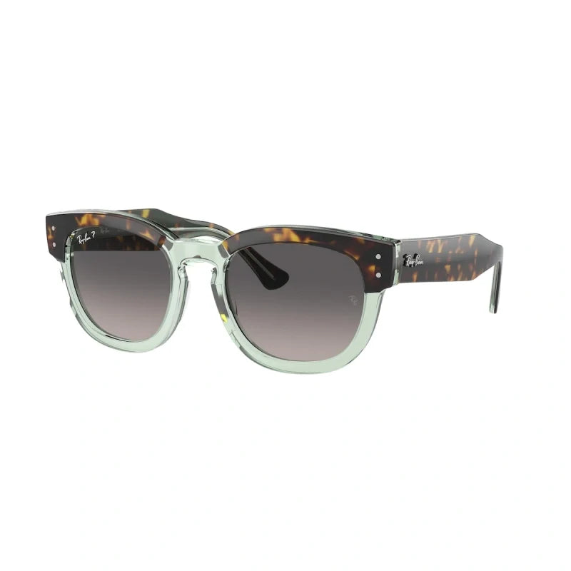 Ray Ban Eyewear & Sunglasses