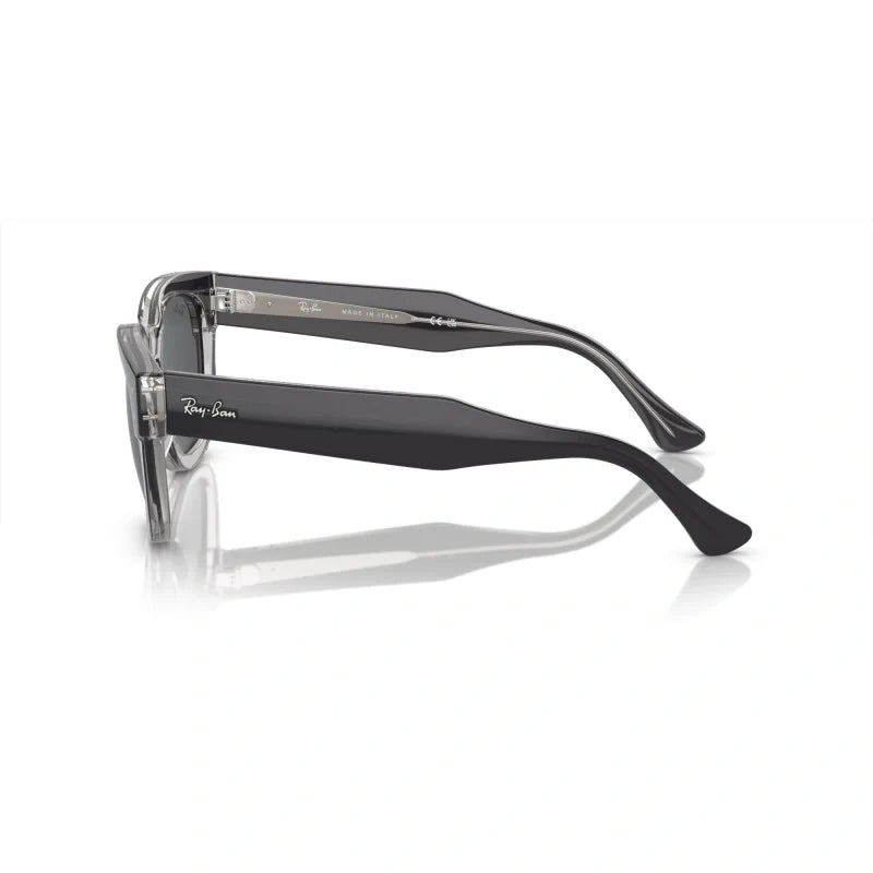 Ray Ban Eyewear & Sunglasses
