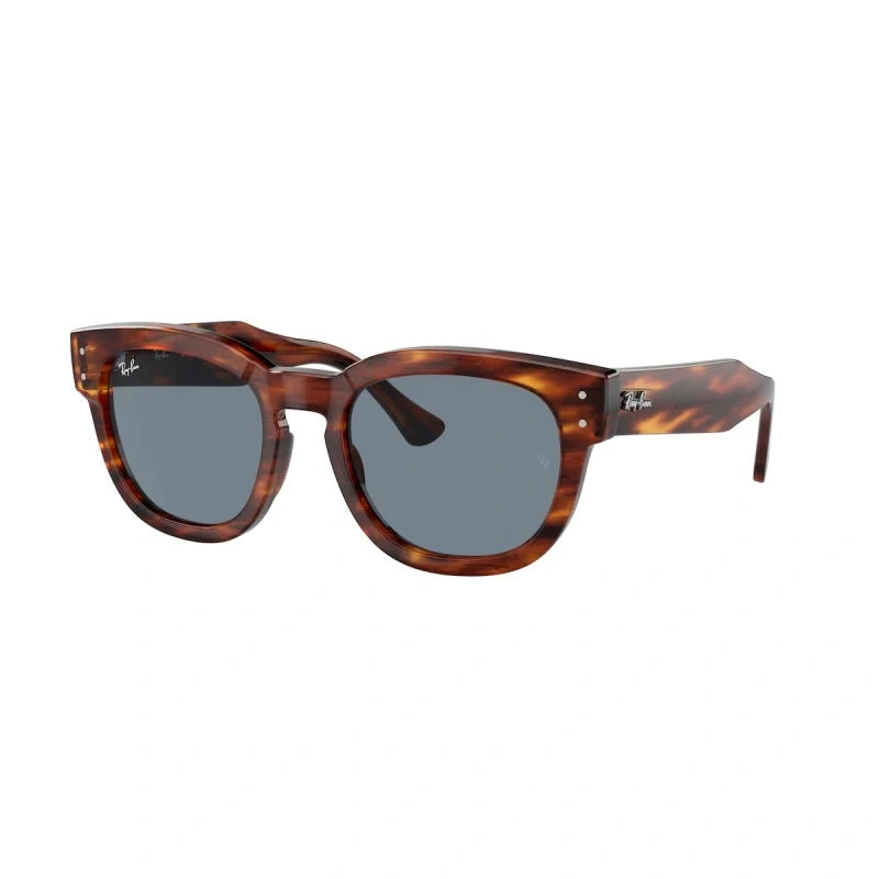 Ray Ban Eyewear & Sunglasses