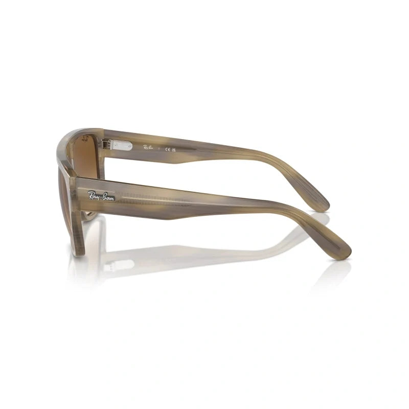 Ray Ban Eyewear & Sunglasses