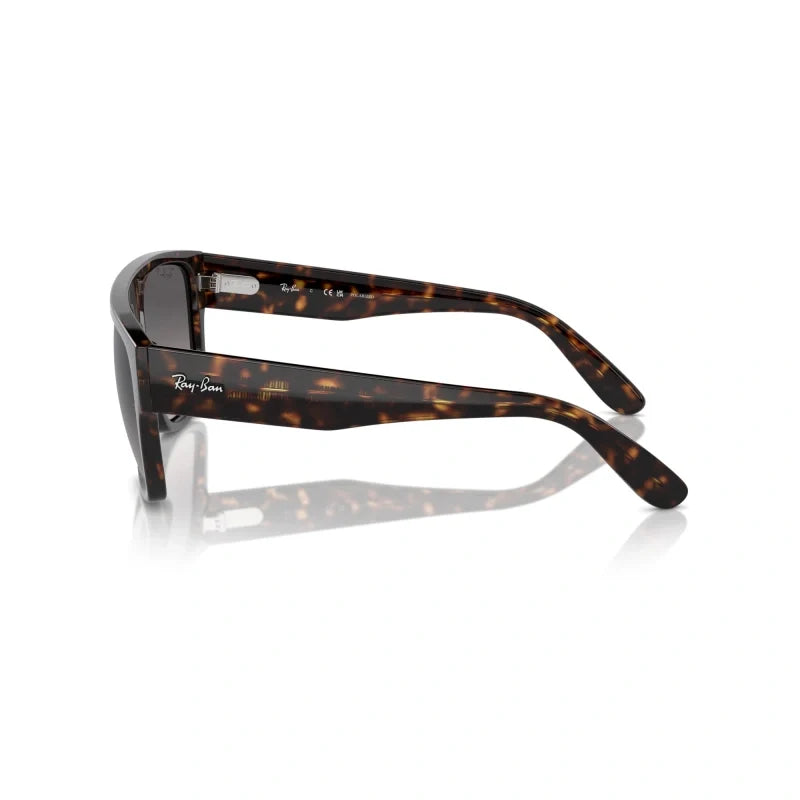 Ray Ban Eyewear & Sunglasses