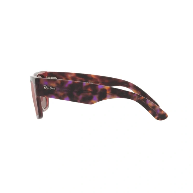 Ray Ban Eyewear & Sunglasses